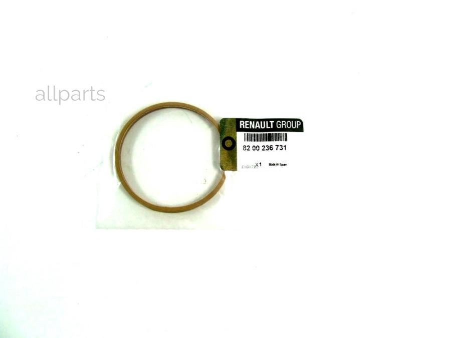 RENAULT 8200236731 кольцо уплотнительное дроссельной заслонки F4R